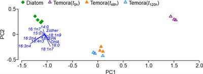 To Regulate or Not to Regulate: Assimilation of Dietary Fatty Acids in the Temperate Copepod Temora longicornis